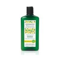 Andalou Sunflower & Citrus Brilliant Shine Shampoo (340ml)