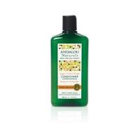 Andalou Argan & Sweet Orange Moisture Rich Conditioner (340ml)