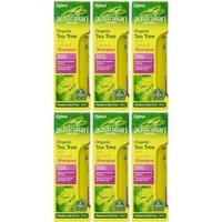Anti Dandruff Shampoo (250ml) Bulk Pack x 6 Super Savings