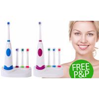 An Electric Toothbrush + Brush Heads