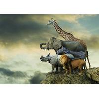 Animals On The Edge Of A Cliff 500 Piece Jigsaw Puzzle