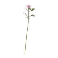 Antique Pink Celia Rose 71 cm