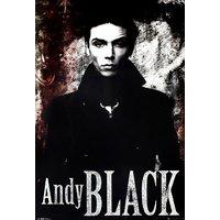 Andy Black Black Veil Brides Poster