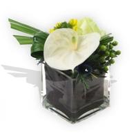 Anthurium and Rose in a Glass Vase