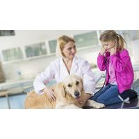 Animal Care Course Bundle - 5 Courses!