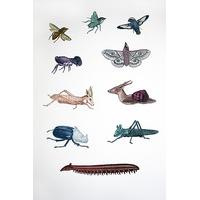 Animated Animals of the Small Kind By Penelope Kenny