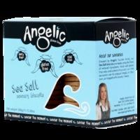 angelic gluten free sea salt savoury biscuits box 150g 150g
