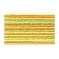 Anchor Multicoloured Pearl Cotton Thread Colour Code 1304