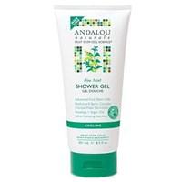 Andalou Naturals Aloe Mint Cooling Shower Gel 251ml