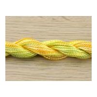 Anchor Multi Colour Cotton Perle Thread Size 5 1304