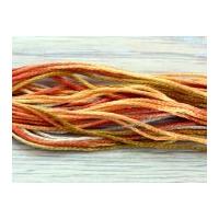 Anchor Multi Colour Stranded Cotton Embroidery Thread 1385