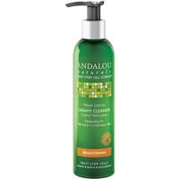 andalou brightening meyer lemon creamy cleanser 178ml