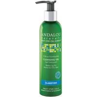 andalou clarifying citrus kombucha cleansing gel 178ml