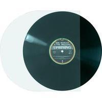 Antistatic Vinyl Record Inner Covers, 100 pcs