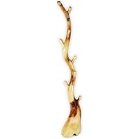 Ancient Mariner Tree Root Coat Rack