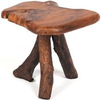 ancient mariner tree root lamp table