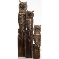 Ancient Mariner Set of Large Owls