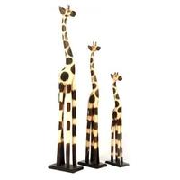 ancient mariner set of 3 giraffes