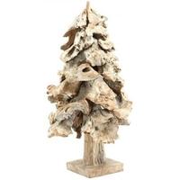 anteak root white tree large