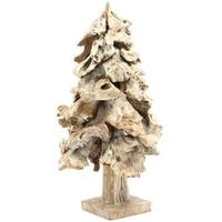 anteak root white tree small