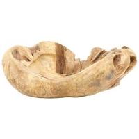 Anteak Root Bowl - AT002-C