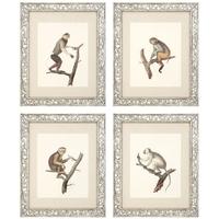 antique mirror glass frame prints guadeloupe i set of 4