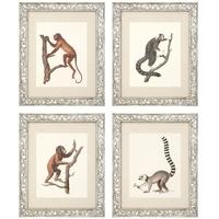 Antique Mirror Glass Frame Prints Guadeloupe II (Set of 4)