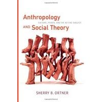 anthropology and social theory culture power and the acting subject a  ...