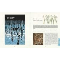 An Illustrated Country Year: Nature uncovered month by month