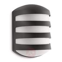 Anthracite-coloured Foliage outdoor wall light