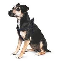 Ancol Padded Harness Black, Size Large