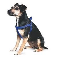 Ancol Padded Harness Blue, size Extra Large