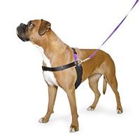 Ancol/Pure Dog Listeners - Stop Pulling Dog Training Harness & Lead Set - Large Size 7-8 (inc DVD)