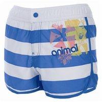 Animal Fankoo Boardshorts