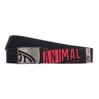 Animal Ravi Webbing Belt - Black