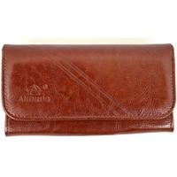 Andrus 6924 women\'s Purse wallet in brown