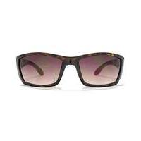 Animal Cab Sunglasses