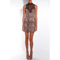 Animal Print Crochet Neck Dress