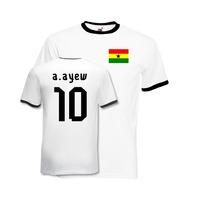 Andre Ayew Ghana Ringer Tee (white)