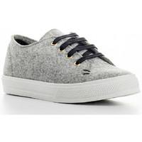Antonio Miro Sneakers EVA women\'s Shoes (Trainers) in grey