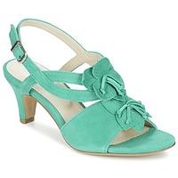 Andrea Conti COLLEGNA women\'s Court Shoes in green