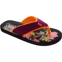 Animal Swish Placement women\'s Flip flops / Sandals (Shoes) in purple