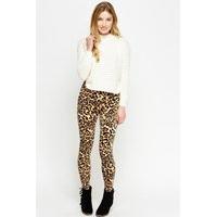 Animal Print Velveteen Leggings