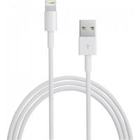 Apple Lightning to USB Cable MD818 PC Accessories