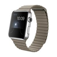 Apple Watch 42mm Stainless Steel, Stone Leather Loop