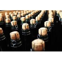 Apple Cider Tour from Caen