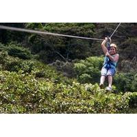 Apaneca Zipline Adventure with Optional Flowers Route Tour