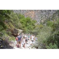 Aposelemis Gorge Walk in Crete