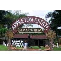 Appleton Estate Rum Tour from Montego Bay