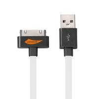 Apple MFi Certified] Yellowknife 3.3feet Premium 30pin USB Sync Charging Cable for iPhone 4 4S iPhone iPad 1 2 3 iPod nano 5th 6th iPod Touch 3rd 4th